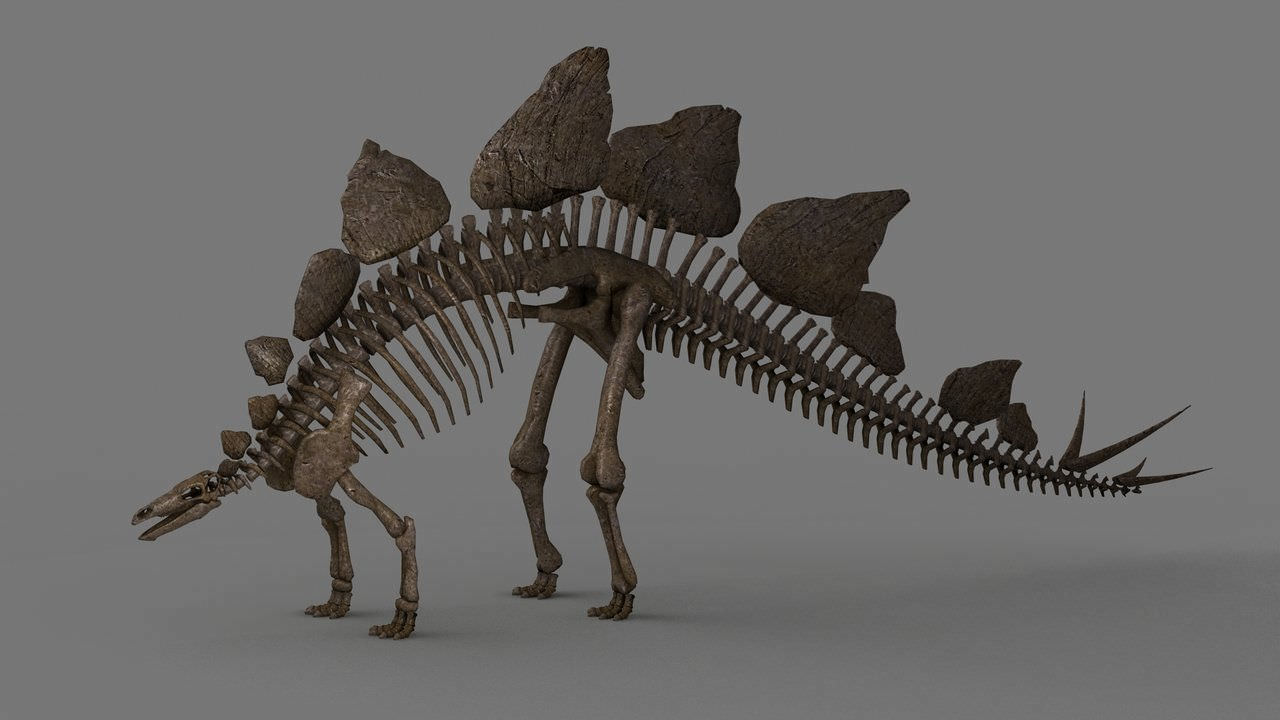 AR Stegasaurus